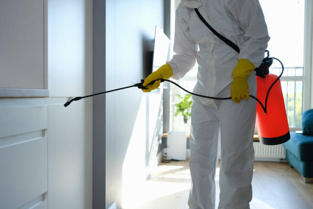 Best Water Damage Restoration  in Audubon Park, NJ
