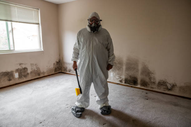 Best Mold Remediation  in Audubon Park, NJ